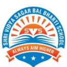 Shri Vidya Sagar Bal Bharti High School