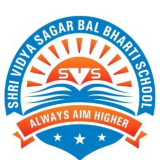 Shri Vidya Sagar Bal Bharti High School